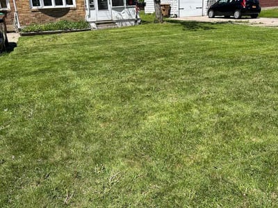 Lawn care service in Buffalo, 14215