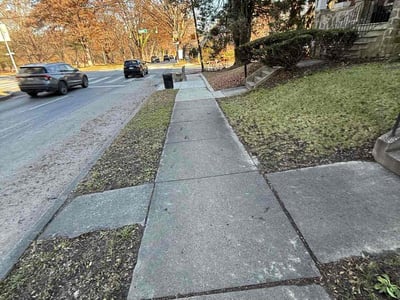 Lawn care service in Baltimore, 21216