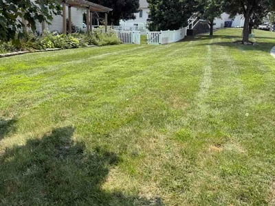 Lawn care service in St. Peters, 63376