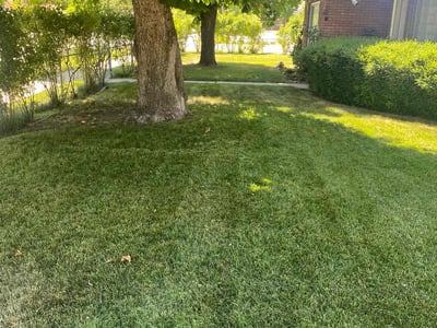 Lawn care service in Provo, 84601