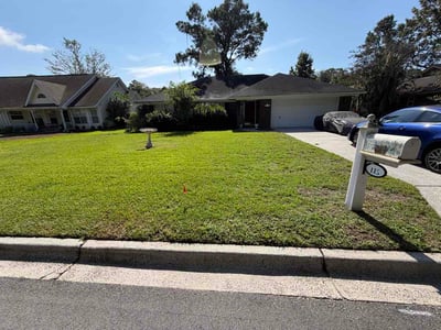Lawn care service in Savannah, 31406