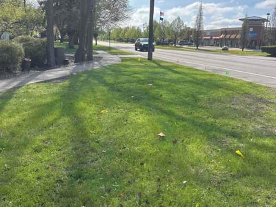Lawn care service in Belleville, 48111