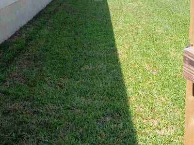 Lawn care service in Hutto, 78634