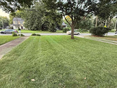 Lawn care service in Nashville, 37206