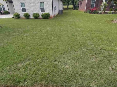 Lawn care service in Montevallo, 35115