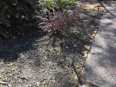 Lawn care service in Humble, 77339