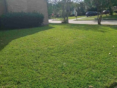 Lawn care service in Houston, 77015