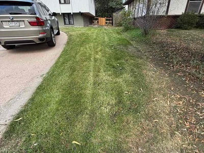 Lawn care service in Denver, 80247