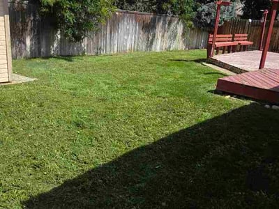 Lawn care service in Boise, 83704