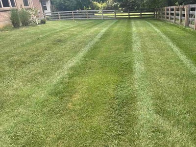 Lawn care service in Loveland, 45140