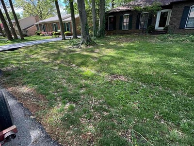Lawn care service in Louisville, 40223