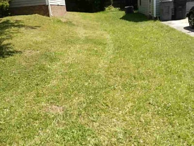 Lawn care service in Charlotte, 28214