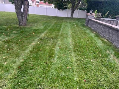 Lawn care service in Edison, 08837