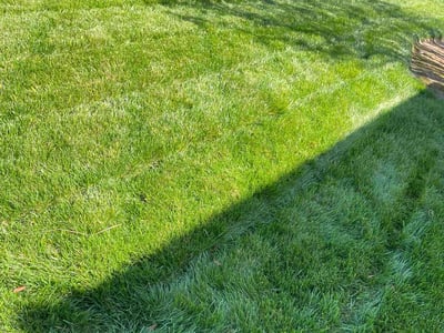 Lawn care service in Riverside, 92506