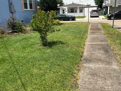Lawn care service in , 