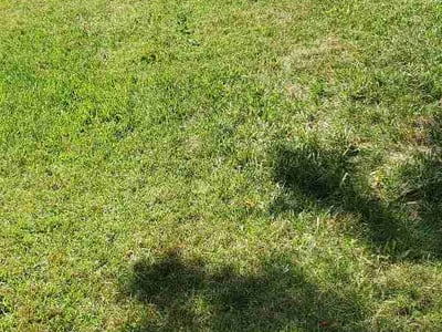 Lawn care service in Allentown, 18104