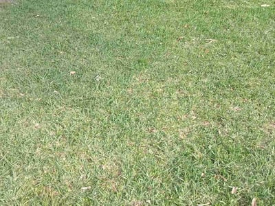 Lawn care service in Jacksonville, 32218