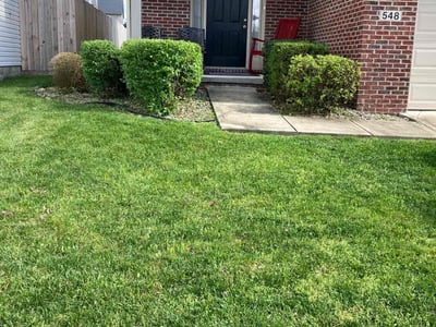 Lawn care service in Lexington, 40511