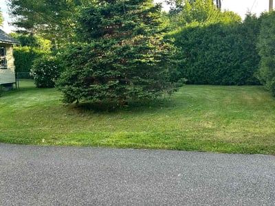 Lawn care service in Colchester, 05446