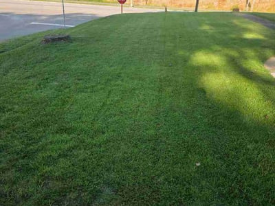 Lawn care service in Charleston, 25309