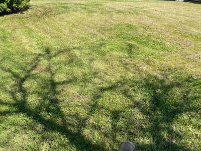 Lawn care service in Orange Park, 32065