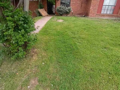 Lawn care service in Dallas, 75227