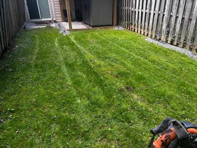 Lawn care service in Silver Spring, 20906