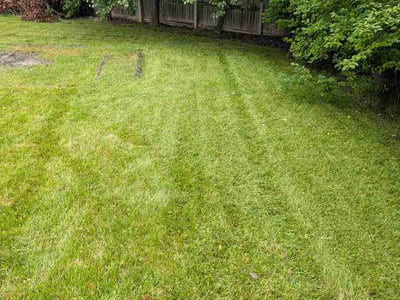 Lawn care service in Indianapolis, 46254