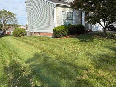 Lawn care service in Mason, 45040