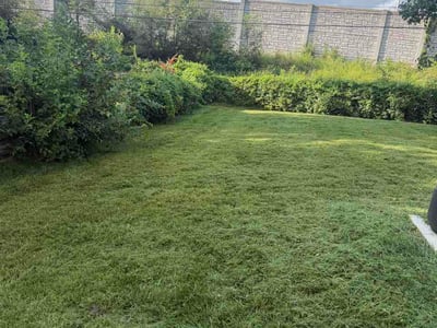 Lawn care service in Kansas City, 64137