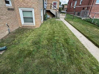 Lawn care service in Denver, 80205