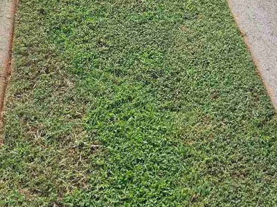Lawn care service in Statesville, 28625