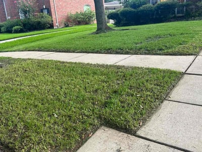 Lawn care service in Sugar Land, 77479