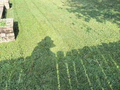 Lawn care service in Augusta, 30907