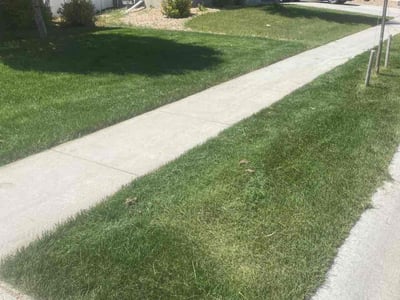 Lawn care service in Severance, 80550