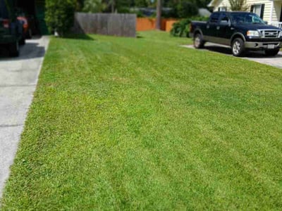 Lawn care service in Savannah, 31410