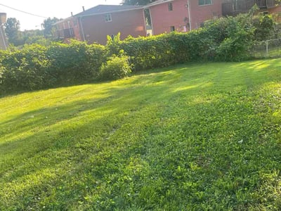 Lawn care service in St. Louis, 63137