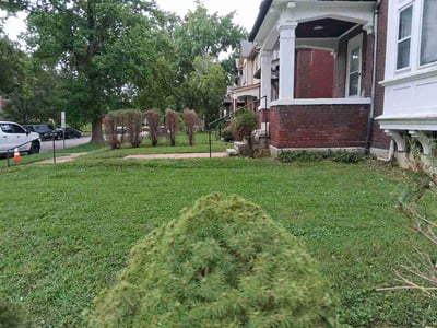 Lawn care service in St. Louis, 63112