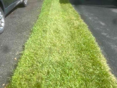 Lawn care service in Schenectady, 12306