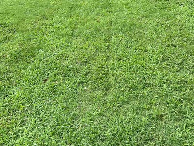 Lawn care service in Fuquay-Varina, 27526