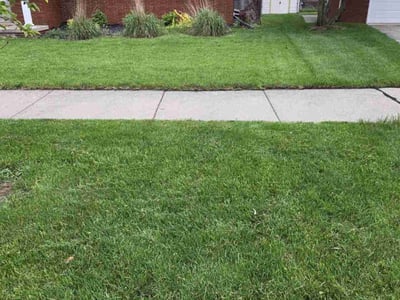 Lawn care service in Roseville, 48066