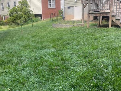 Lawn care service in , 