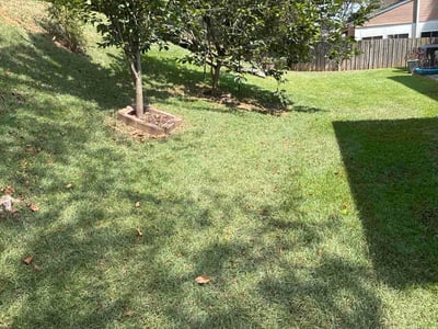 Lawn care service in Pelham, 35124