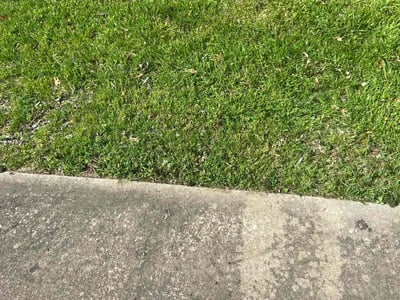 Lawn care service in Austin, 78744