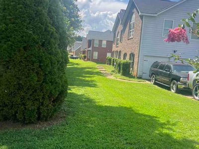 Lawn care service in McDonough, 30252