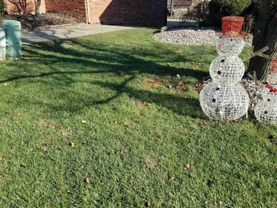 Lawn care service in , 