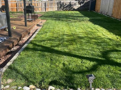 Lawn care service in Thornton, 80241