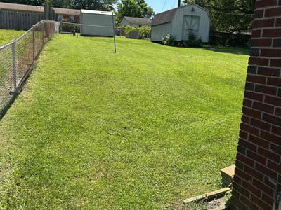 Lawn care service in Greenville, 29605