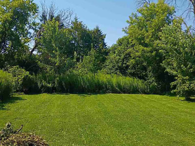 Lawn care service in Green Bay, 54301