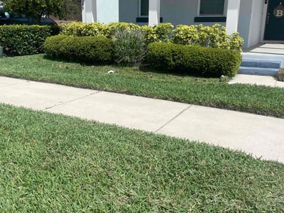 Lawn care service in Winter Garden, 34787